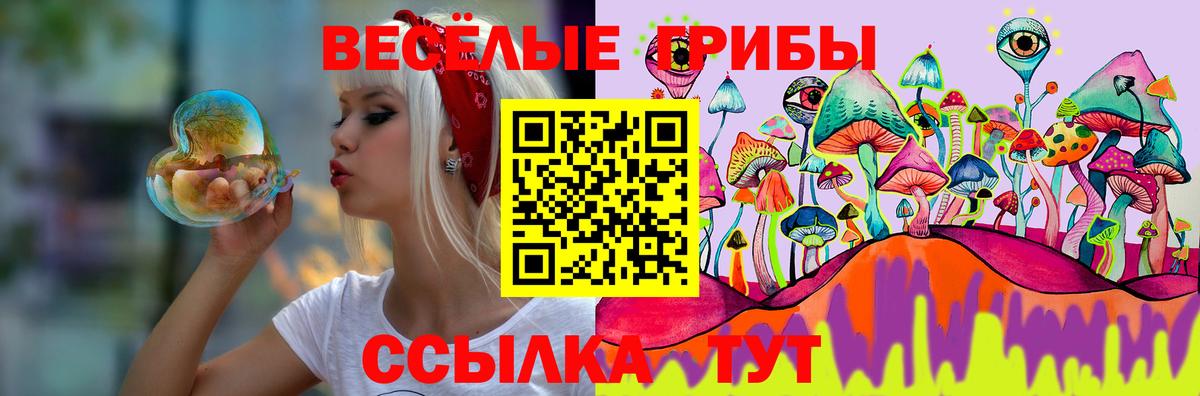 Псилоцибиновые грибы GOLDEN TEACHER Топки