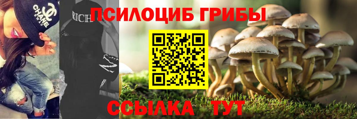 Топки  Псилоцибиновые грибы Cubensis  Вход с VPN 